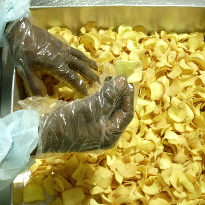 Gloved hand removing a cassava chip from the tray during sorting